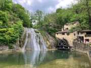 Le Jaguar nella zona del Prosecco e Cartize (6/152)